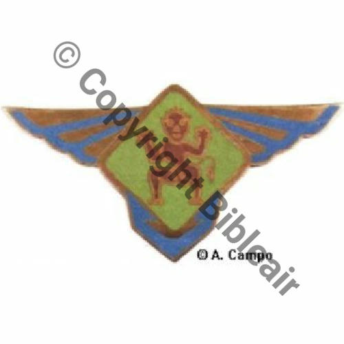 596.1 DRILLE.1.596 Vert pale Src.A.CAMPO 